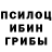 Псилоцибиновые грибы Psilocybe Henry Hakamaki