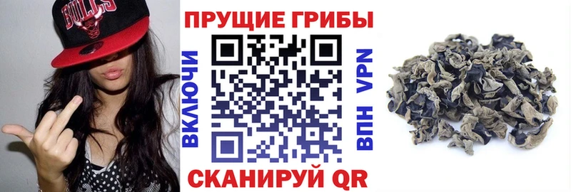 Псилоцибиновые грибы Cubensis  Зеленодольск 