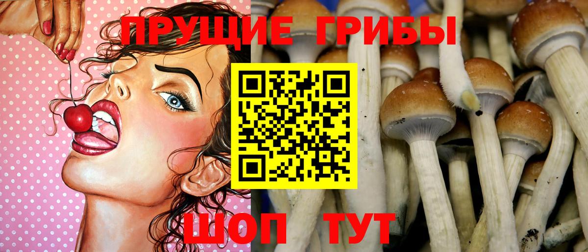 Зеленодольск  Галлюциногенные грибы Magic Shrooms  Вход с VPN 